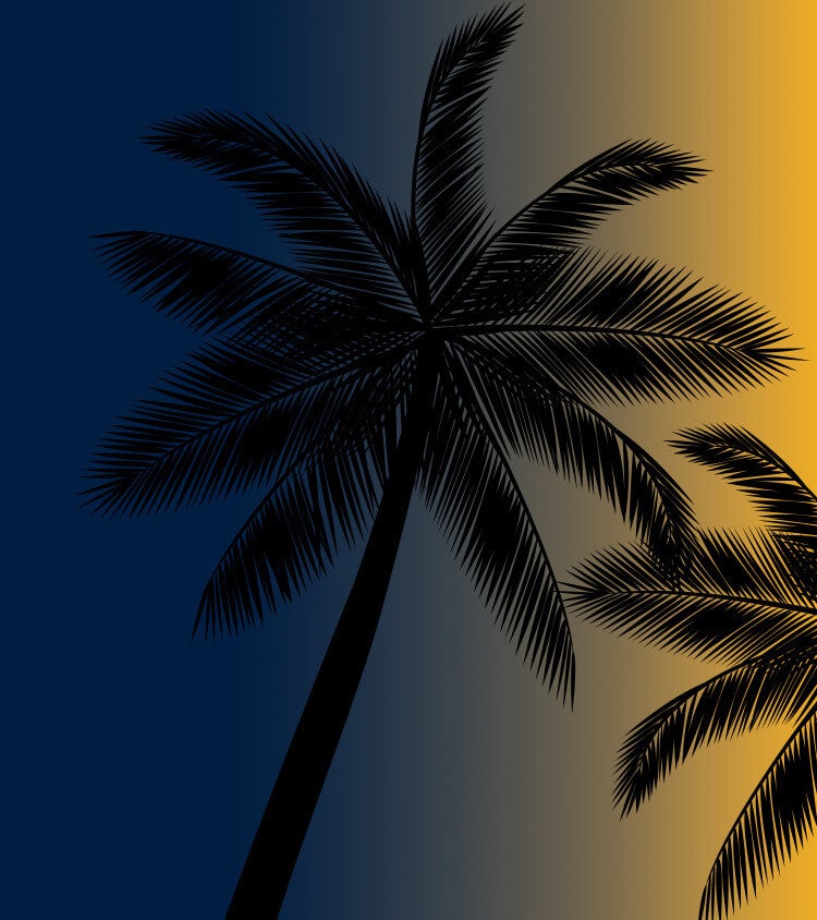 palm-tree