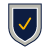 security icon